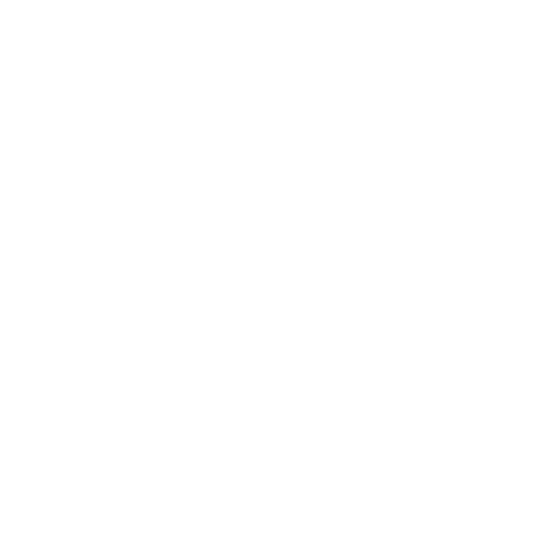 FUN CAR